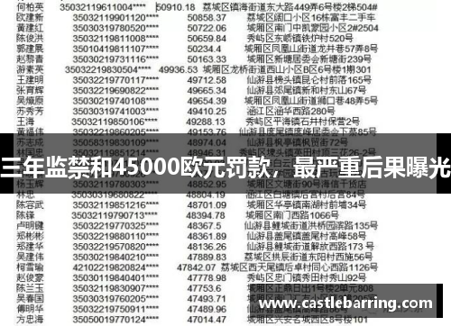 三年监禁和45000欧元罚款,最严重后果曝光 三年监禁和45000欧元罚款,最严重后果曝光