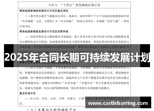 2025年合同长期可持续发展计划